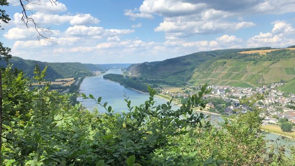 Kranenberg_Andernach.jpeg