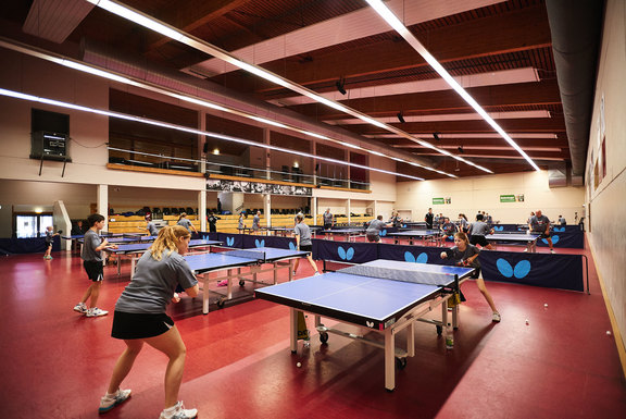 totale-tt-halle.jpg