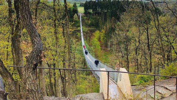 Hängeseilbruecke_Geierley.jpeg