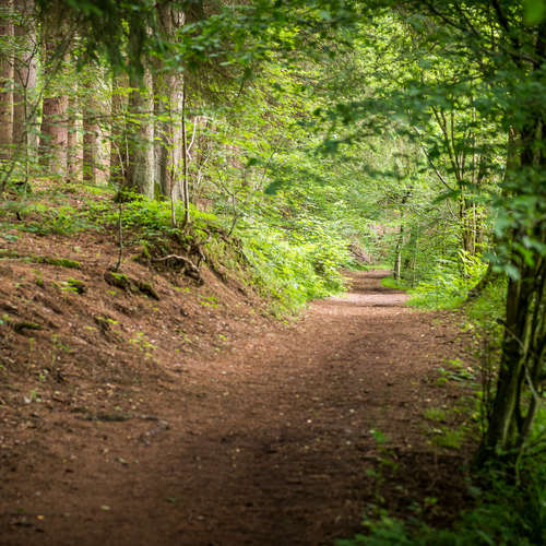 Wandern im Westerwald