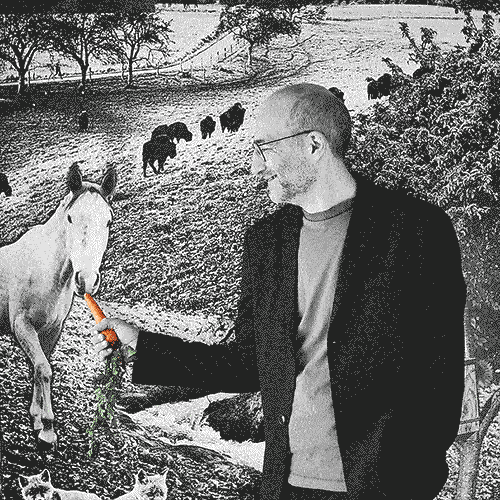 Olaf Gstettner