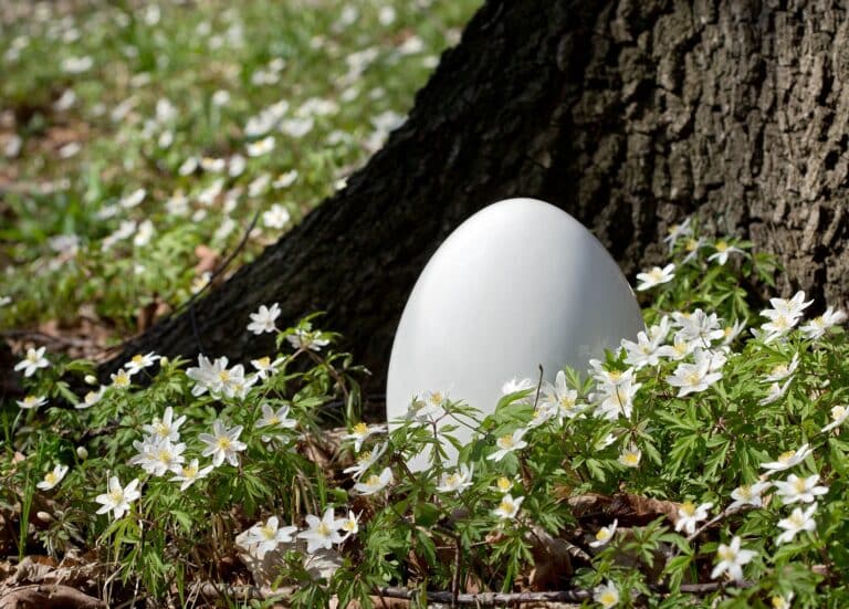 Osterei liegt auf Wiese vor Baum